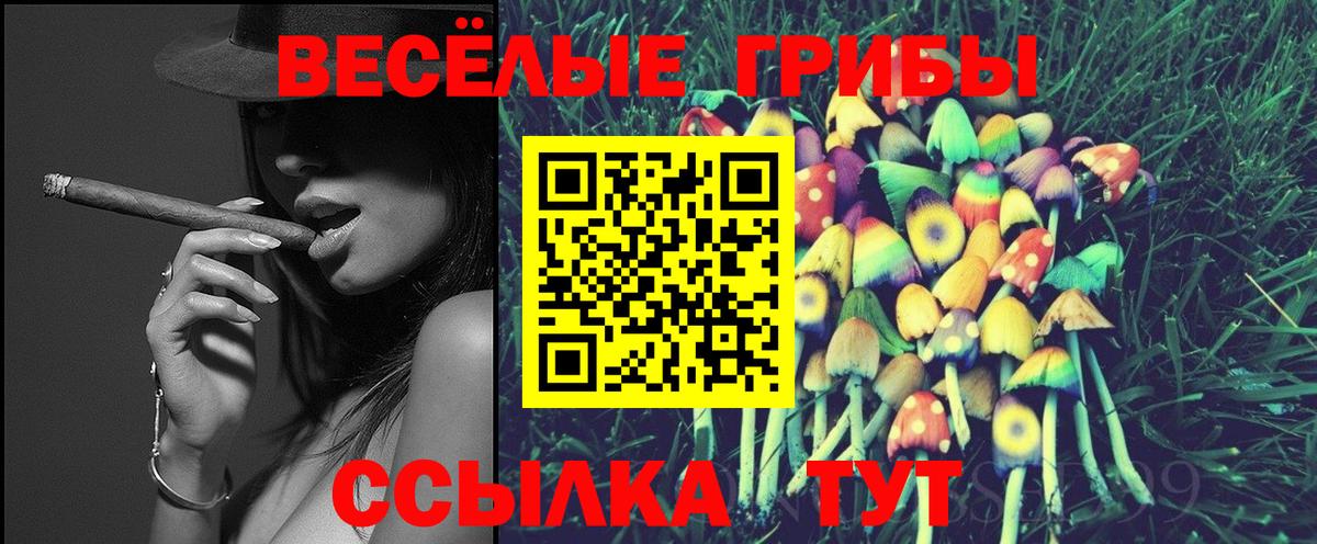 Галлюциногенные грибы мицелий  Вход с VPN  Псилоцибиновые грибы прущие грибы  Луга 